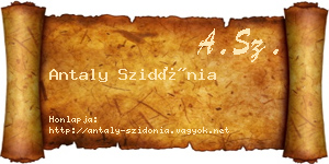 Antaly Szidónia névjegykártya